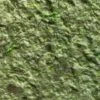 Жидкие обои марки Р12